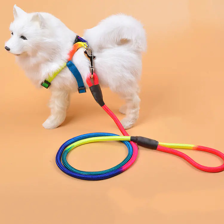 Durable Nylon Handheld Dog Leash